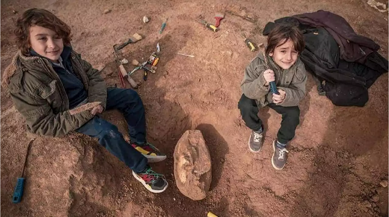 Santa Clara del Mar: un nene de 8 años paseaba por la playa y encontró un cráneo de 700 mil años de antigüedad