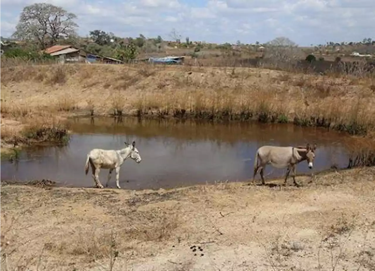 Lideran en agua concesionada CFE, AHMSA y cerveceras en medio de la sequía en Coahuila