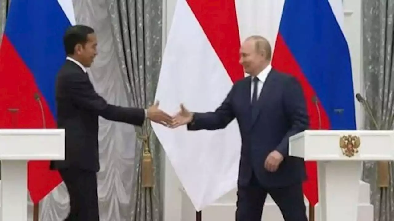 Janji Putin kepada Jokowi, Rantai Pasokan Pangan dan Pupuk Aman