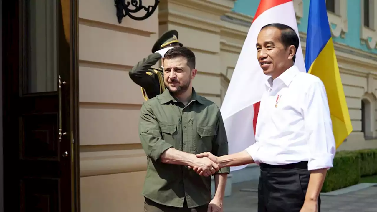 Presiden Jokowi Tawarkan untuk Sampaikan Pesan Zelenskyy kepada Putin