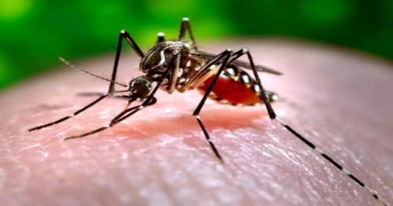 First case of West Nile virus in 2022 detected in Lake County, Indiana resident