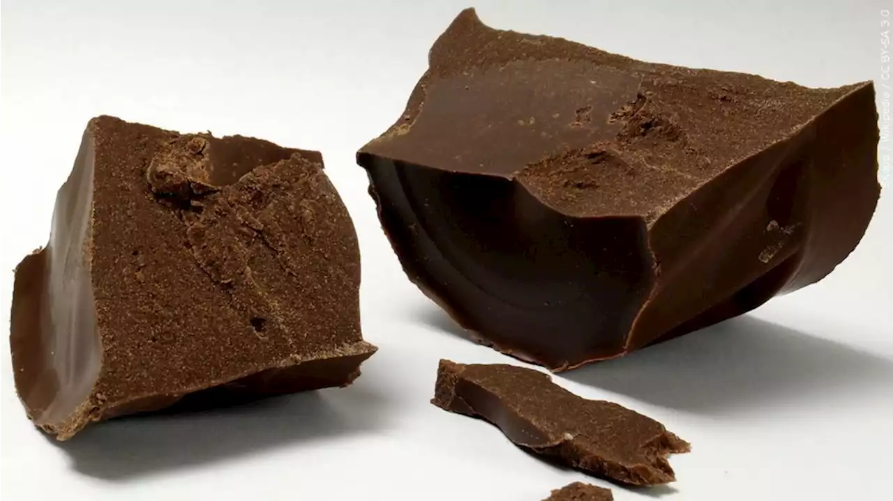 Chocolate factory in Belgium shut after salmonella infection