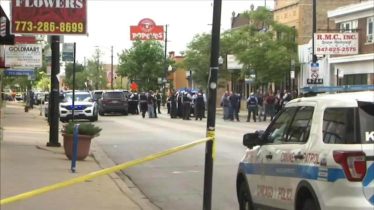 Chicago shooting: K-9 hurt in Belmont Cragin shootout remains in ICU