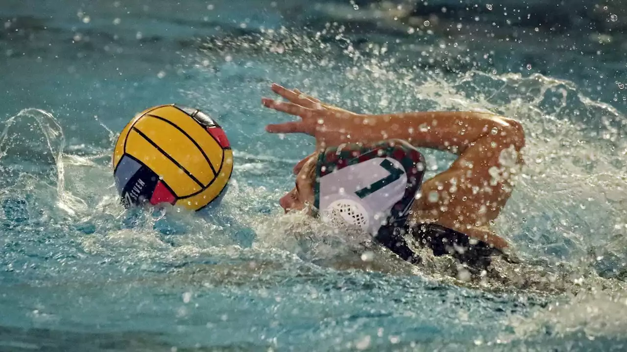 Spandau 04: Wasserball-Frauen feiern Meister-Hattrick