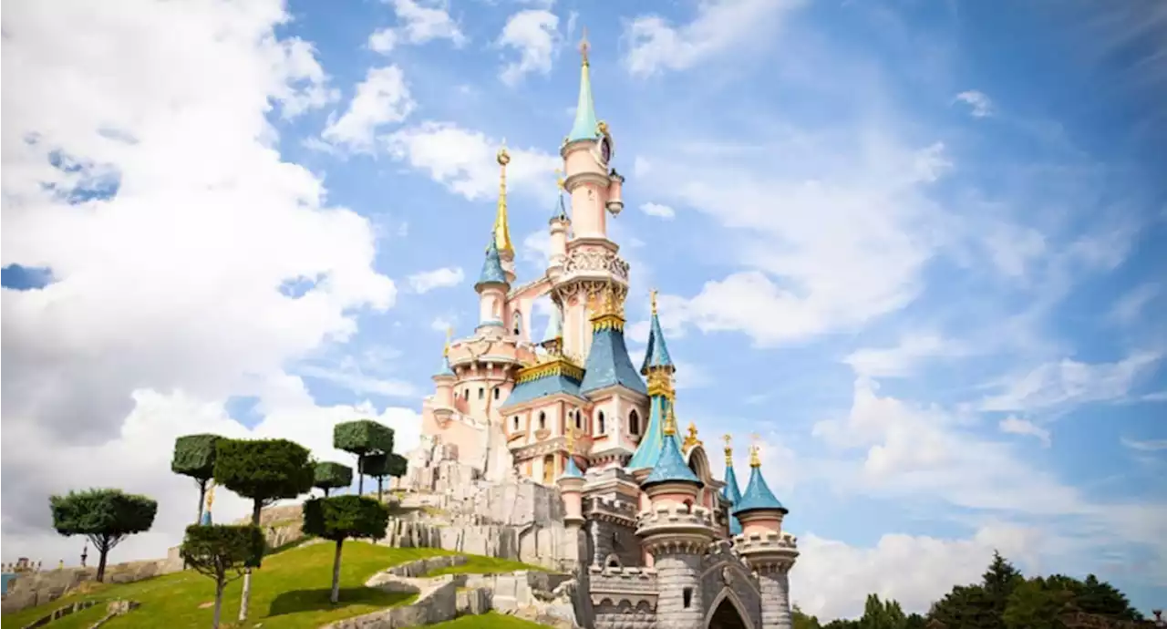 Disney Under Fire For Employee Interrupting Theme Park Marriage Proposal