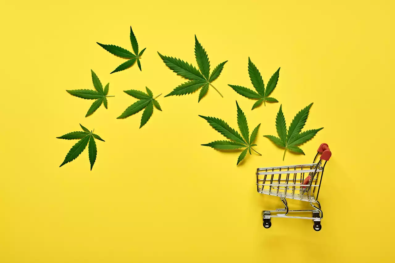 The Rapidly Expanding Cannabis Industry Needs To Get Its Marketing Act Together, A New Report Finds