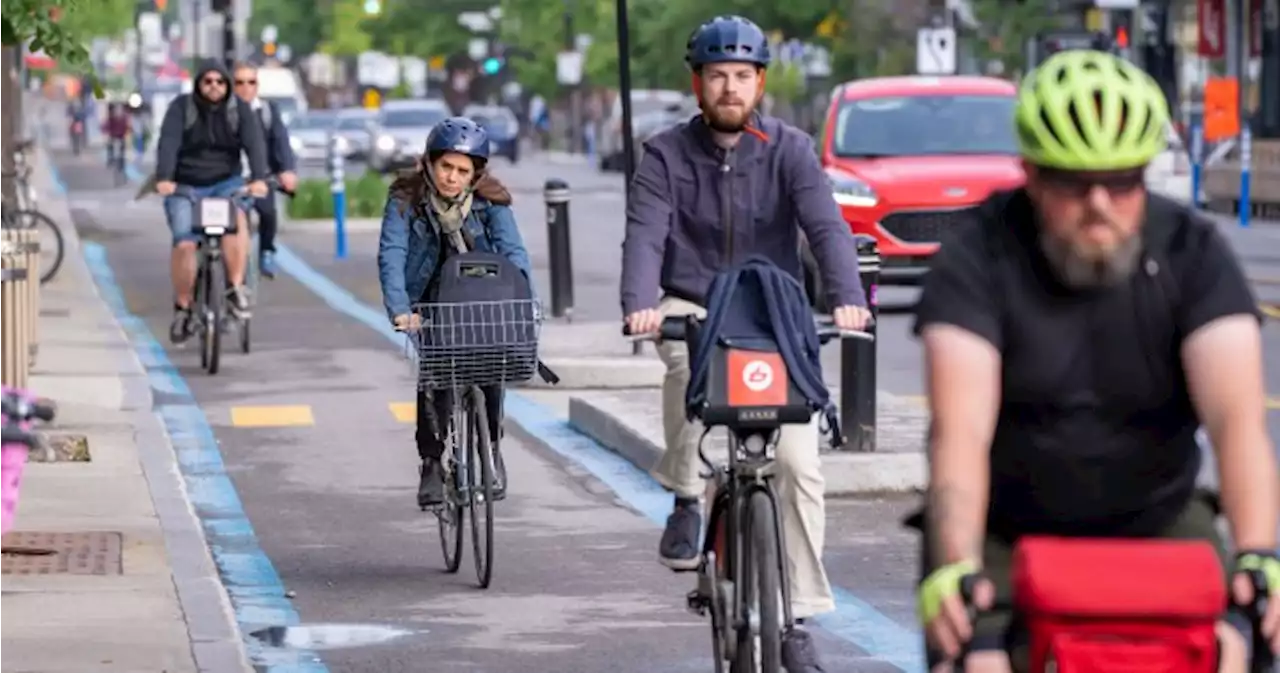 As gas prices spike, Montreal’s bike culture seen as model for rest of the country | Globalnews.ca