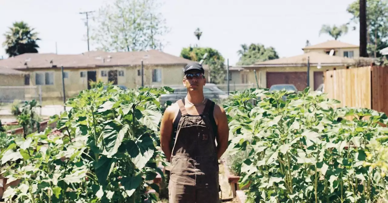 Local Hero Of The Week: Community Garden Director Taps Into The Hidden Potential Of Compton’s Soil\r\n