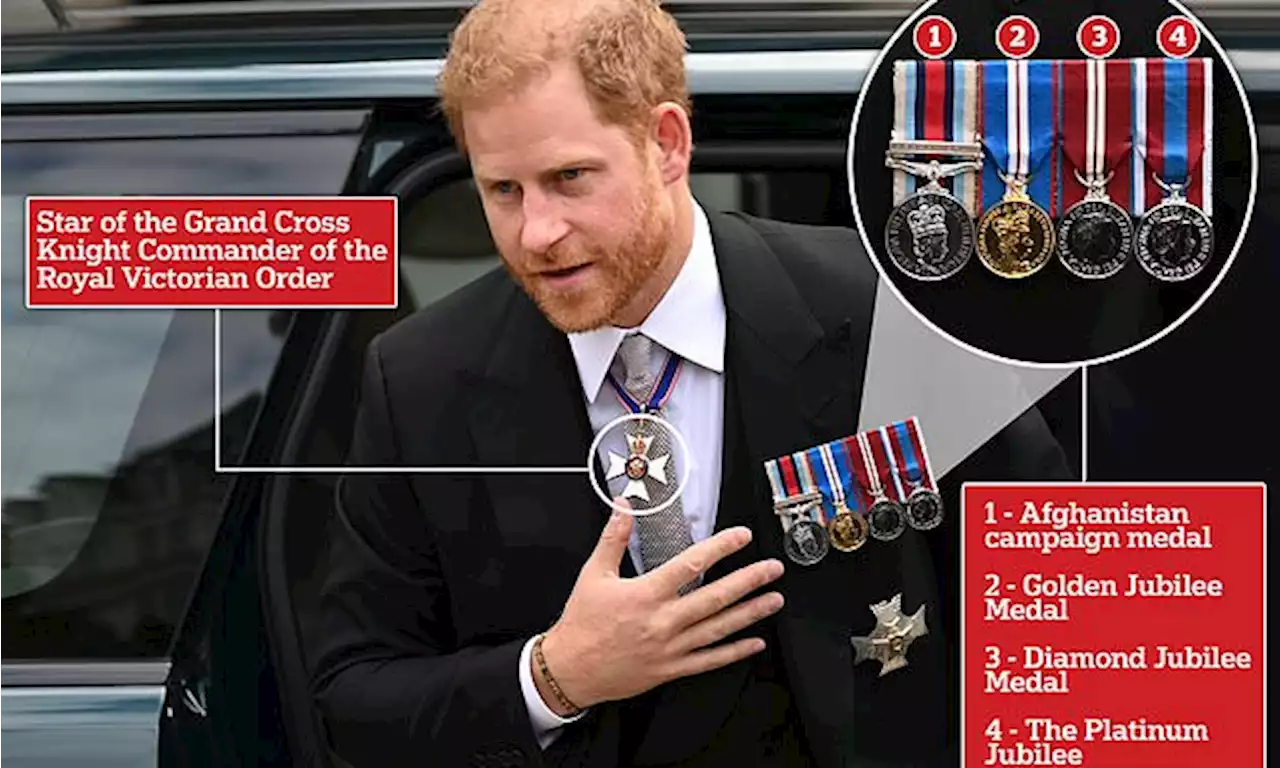 Prince Harry shows off his medals