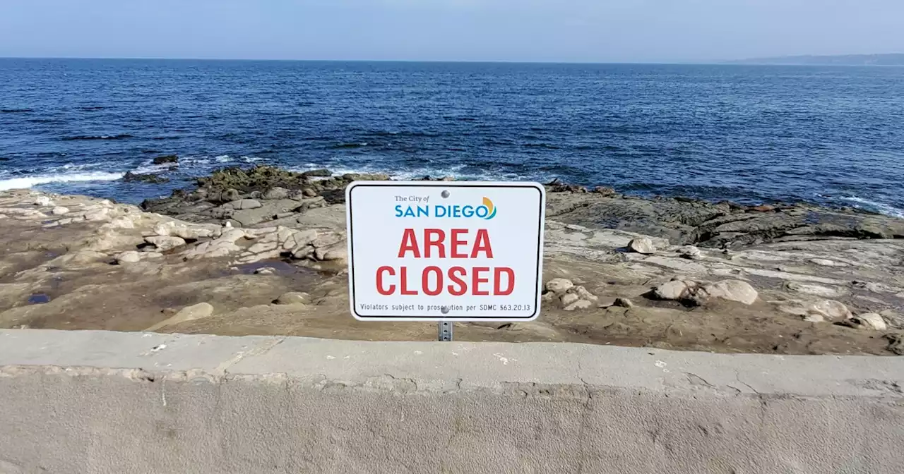 Nighttime scofflaws at Point La Jolla draw dismay from wildlife advocates