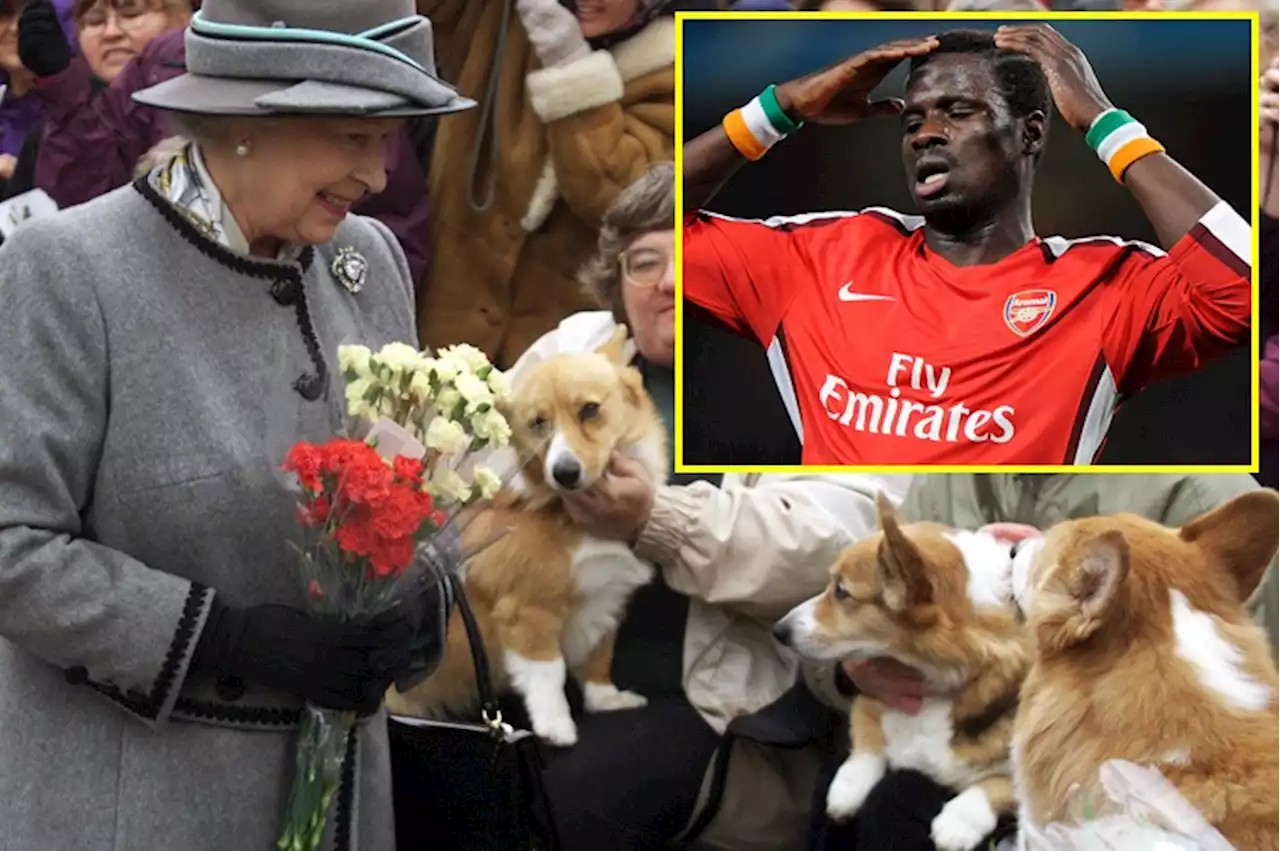 Visiting Queen made Arsenal's Eboue want to quit football and look after her corgis