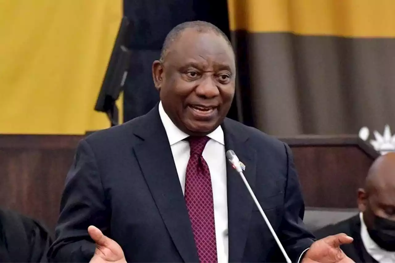 Probe Cyril Ramaphosa’s game millions | The Citizen