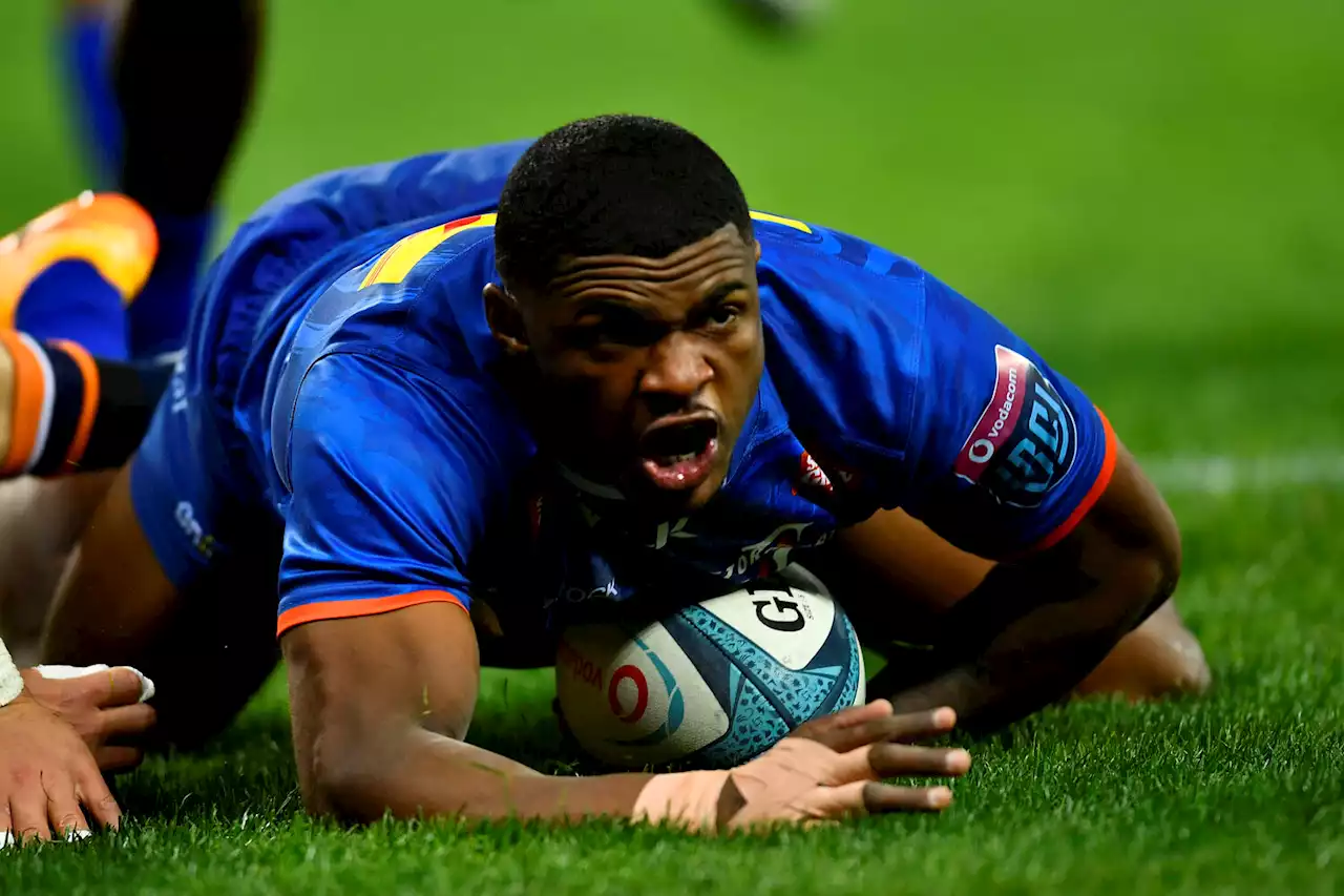 Stormers triumph over Edinburgh in URC quarter | The Citizen