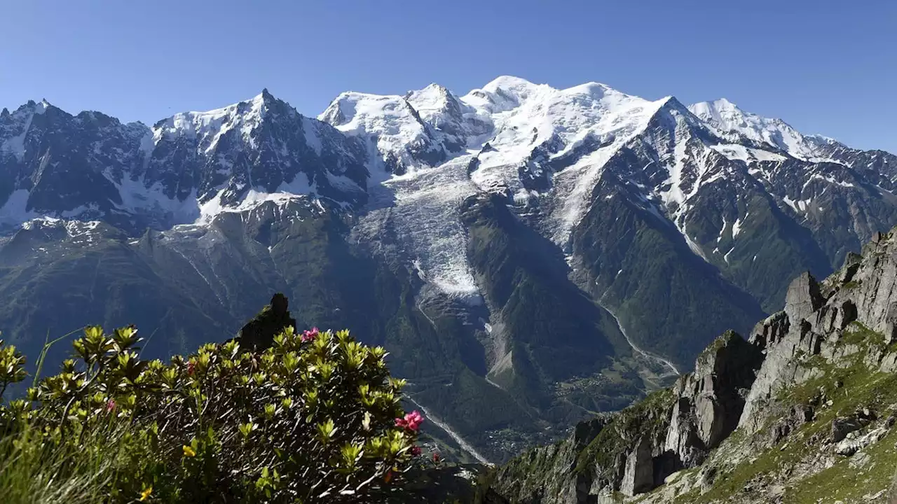 Global warming is turning snowy, white Alps green, study reveals with satellite images from space