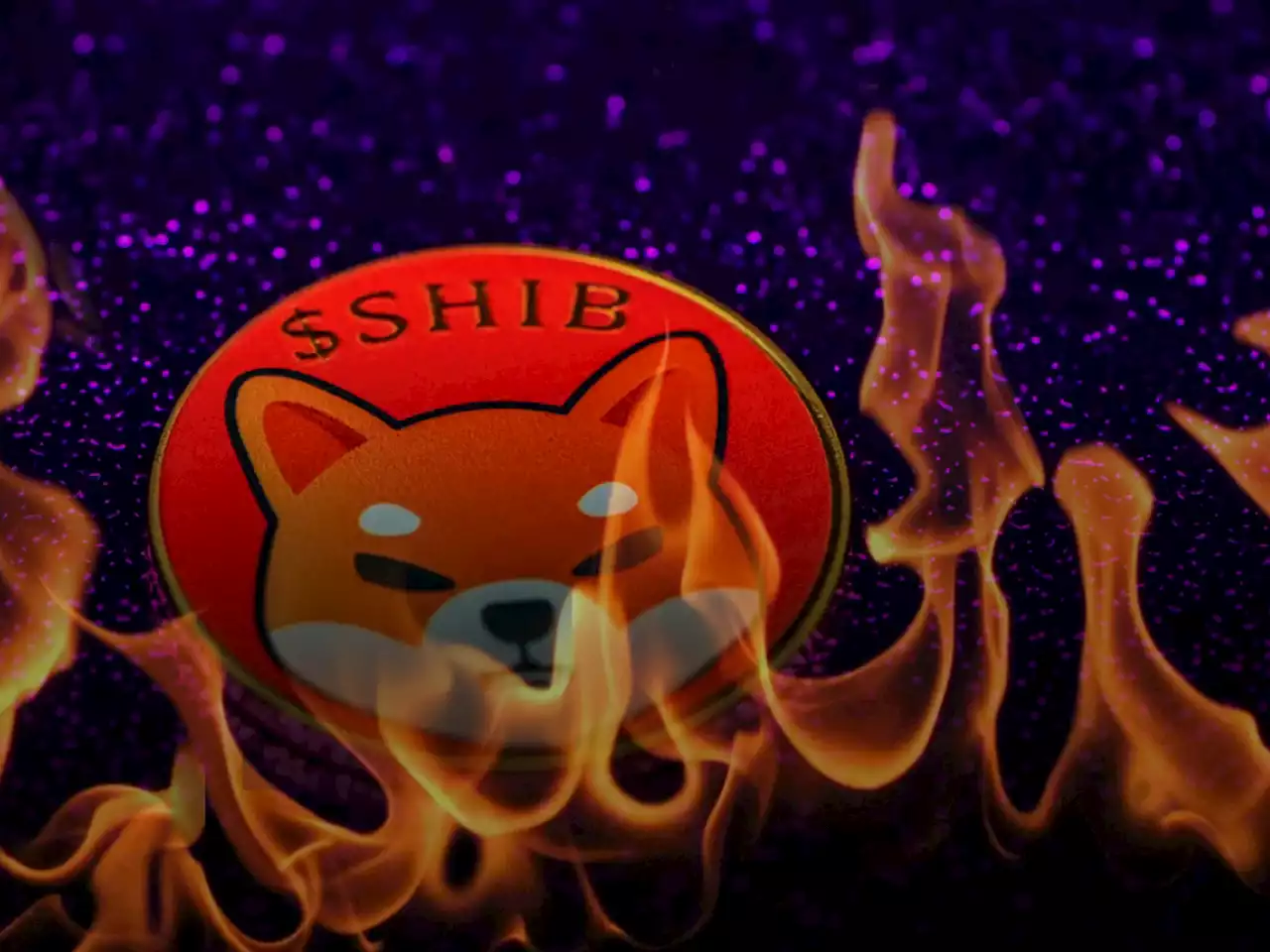 202 Million Shiba Burned as 47 Million SHIB Offered to Lucky Supporter by This Burner