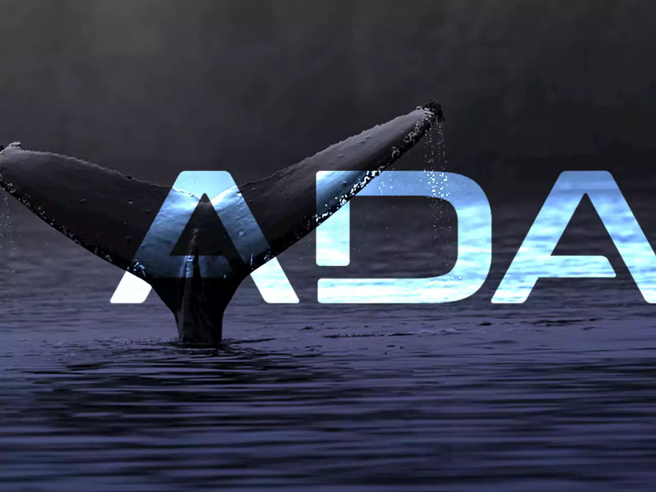 ADA Goes Up As Whales Start Accumulating on The Dip