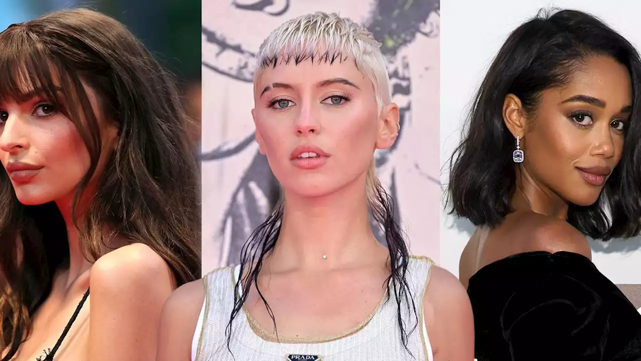 The 7 Biggest Summer Haircuts of 2022