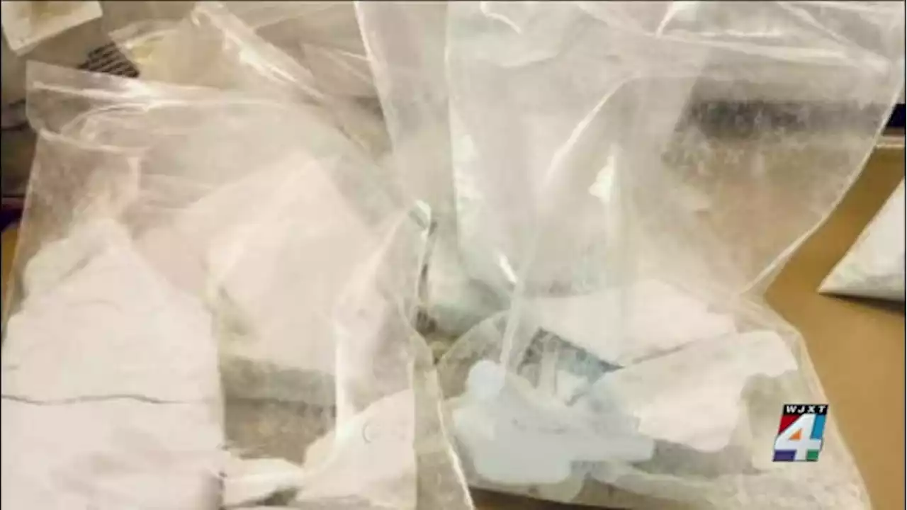 ISO: Drug similar to fentanyl, but 20X more potent finds way into Florida