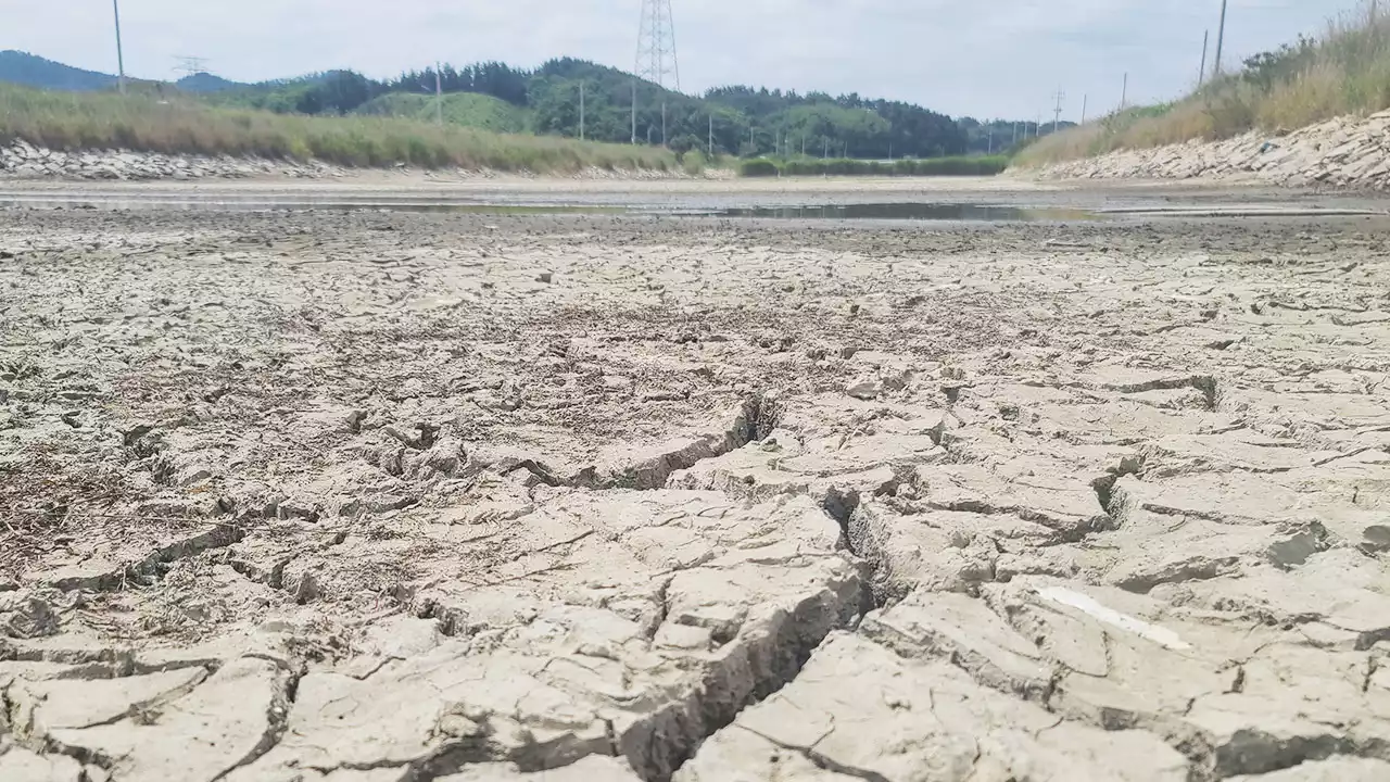 전국 가뭄 극심...지난달 강수량 평년 6％ 불과