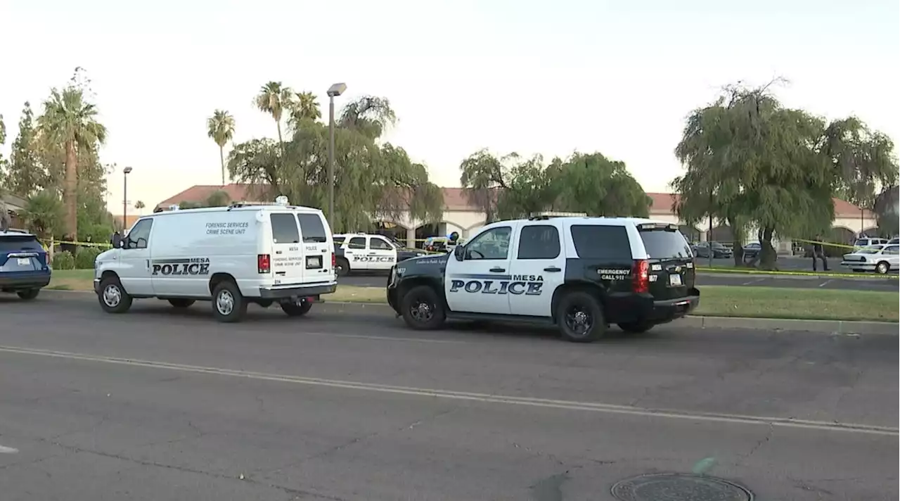 Two dead, two injured in Mesa bar shooting