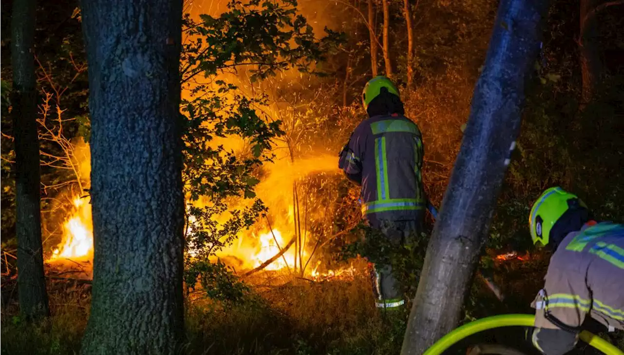 Naturschutzgebiet in Lichtenberg in Flammen