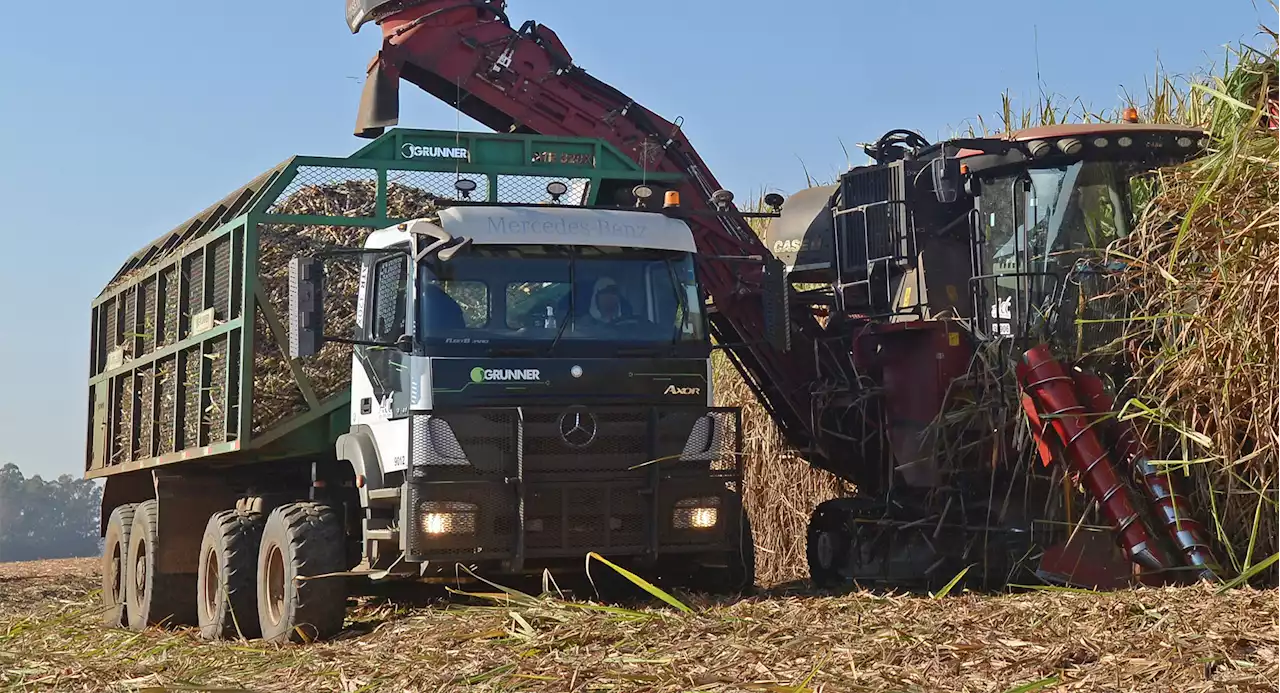 There Are Hundreds Of Autonomous Mercedes Axor Trucks Helping Brazil's Sugar Cane Harvest | Carscoops