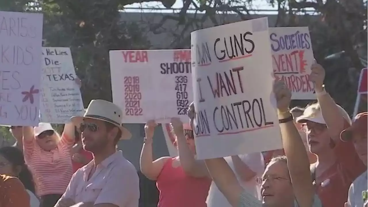 Gun reform groups gather in Austin to call for end to gun violence