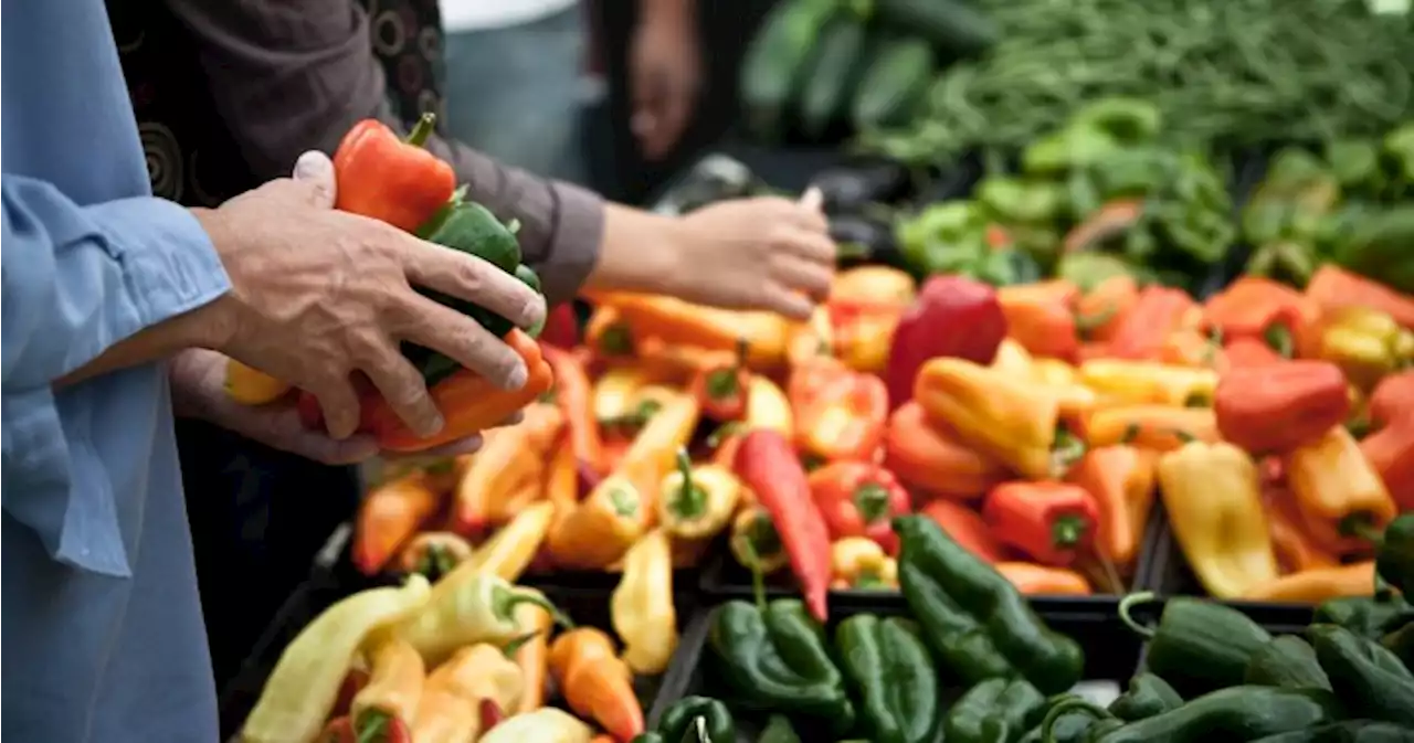 $12 million earmarked for BC Association of Farmers’ Market’s coupon program | Globalnews.ca