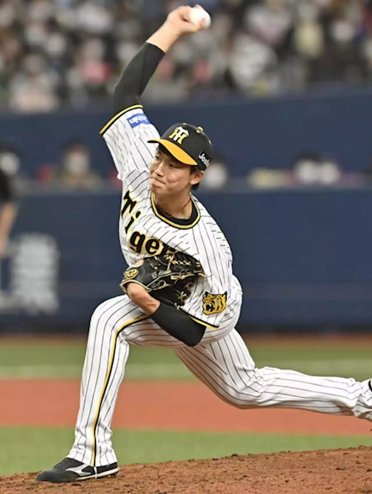 阪神・湯浅京己 投手転向2年で急速16キロ増の潜在能力【プロ野球 若手苦労人たちの正体】 - トピックス｜Infoseekニュース