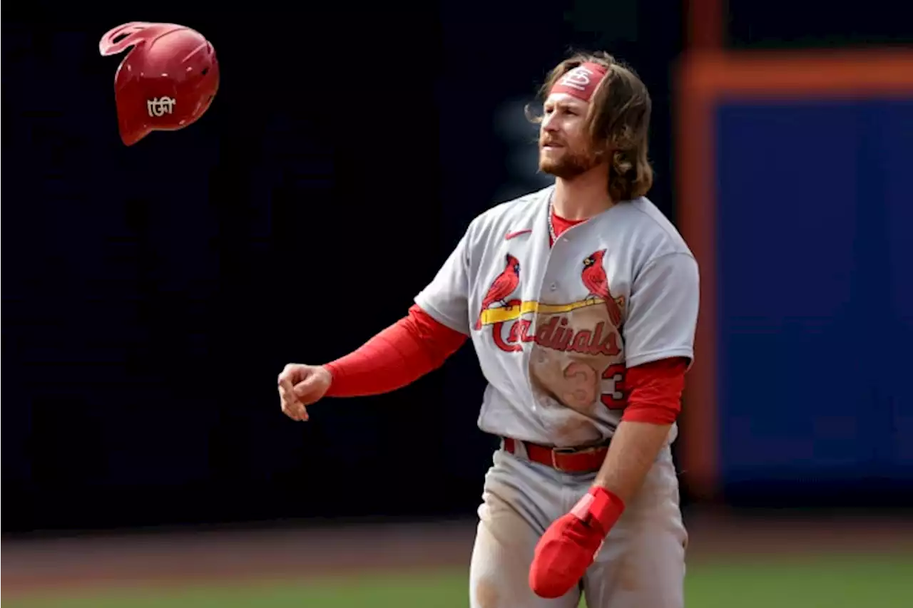 Cardinals' Donovan apologizes for old homophobic tweets