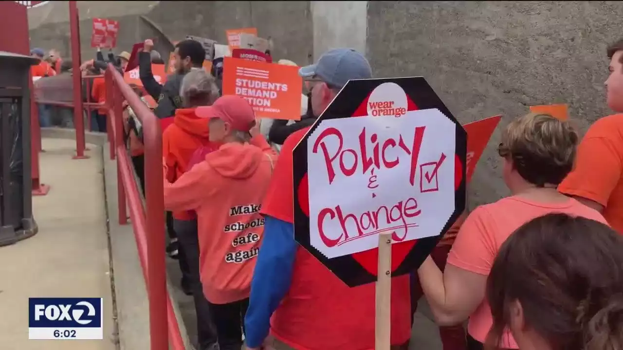 Hundreds march in San Francisco for more stringent gun laws