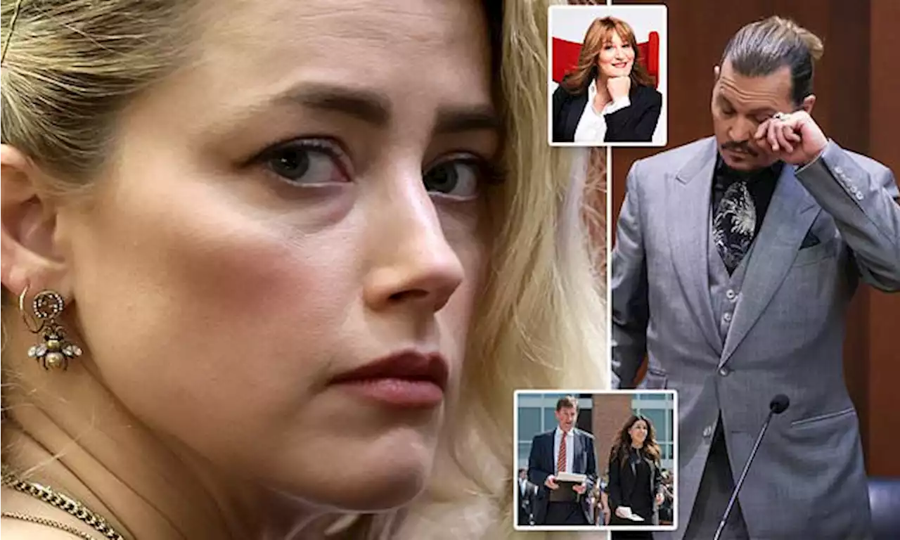 SARAH VINE: Amber Heard HERSELF has proved a setback for women