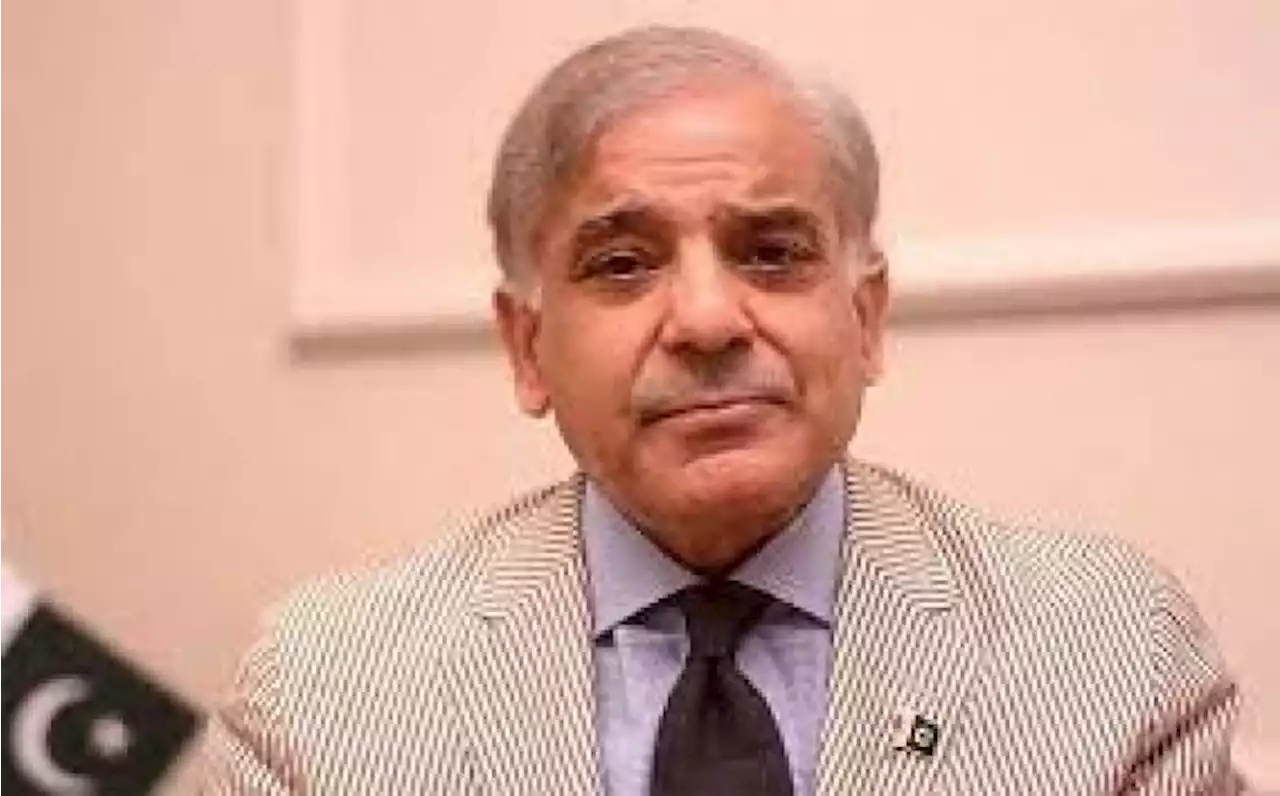 بی جے پی کی رہنما کے گستاخانہ بیان پر وزیر اعظم شہباز شریف کی مذمت