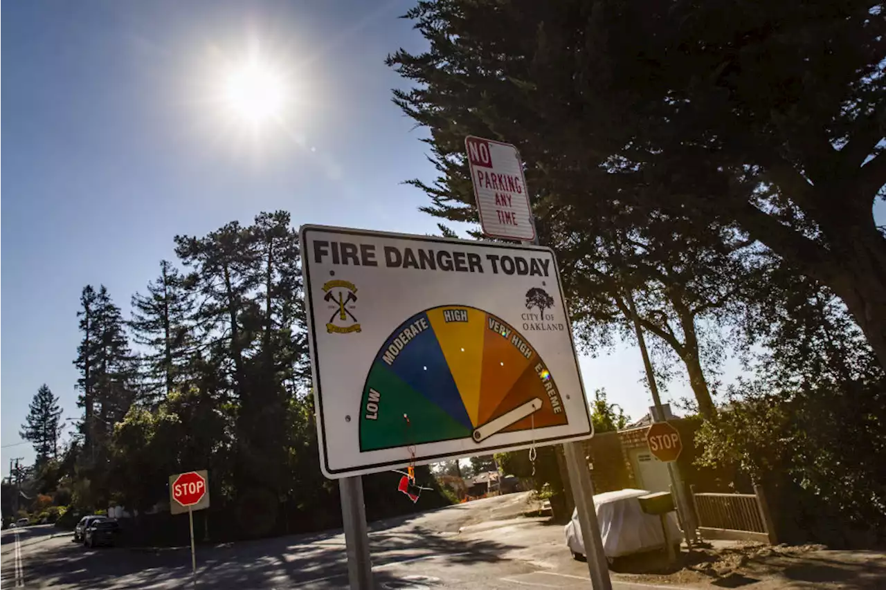 Data From California's Drought Conditions May Help Predict Fire Danger