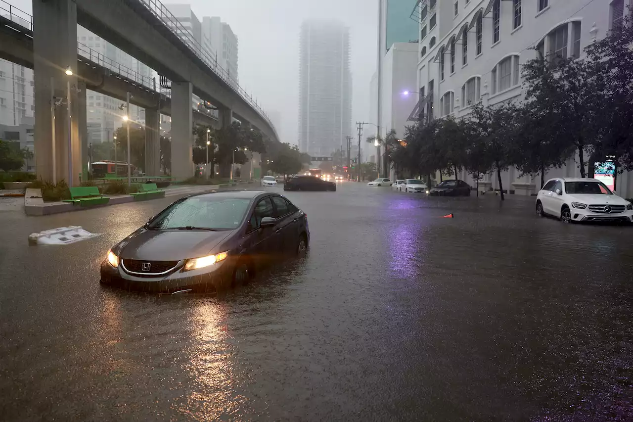 Tropical Storm Alex, 1st of Season, Forms in Gulf of Mexico