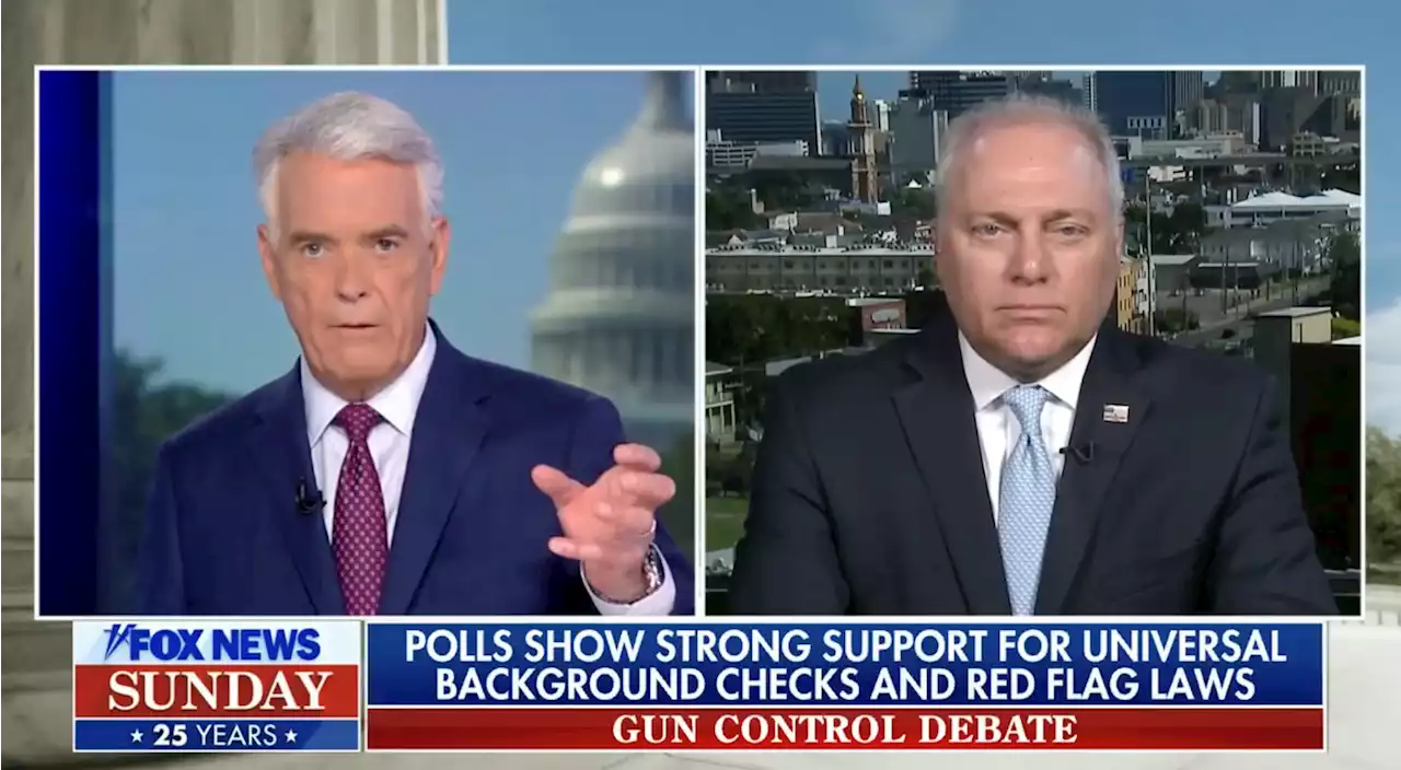 Fox host confronts Scalise on whether GOP 'out of step' with voters on guns