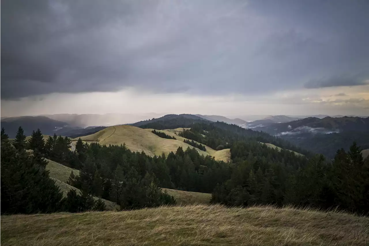 Here's how much rain fell in the SF Bay Area in last 24 hours