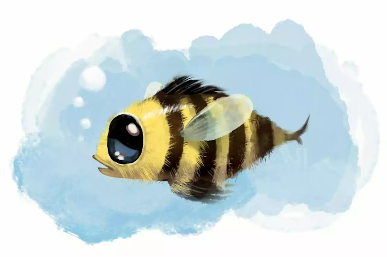 The Completely Logical Reason Why a Bee Can Be Considered a Fish Now