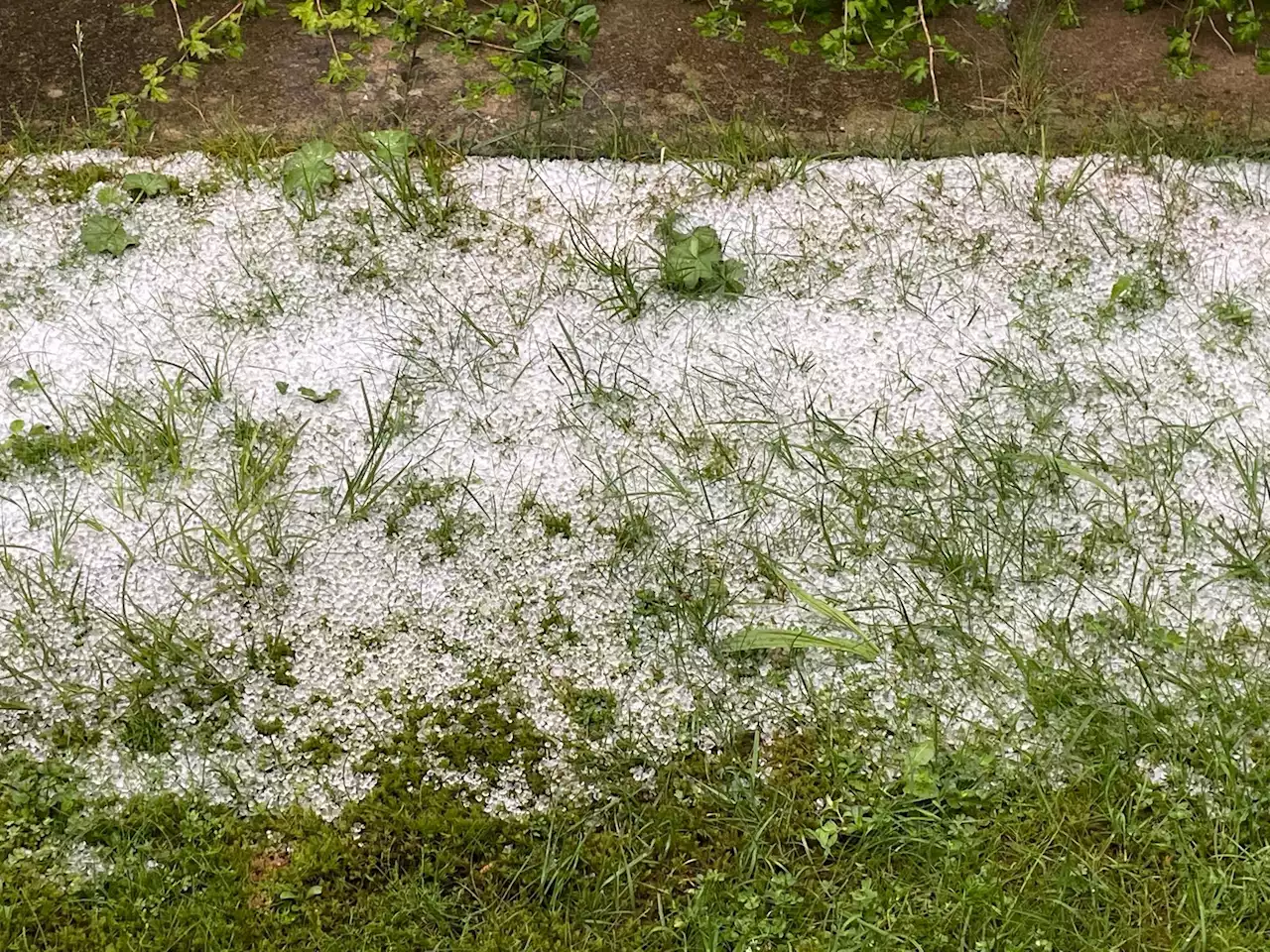 Gewitter im Allgäu: Weiße Gärten im Sommer