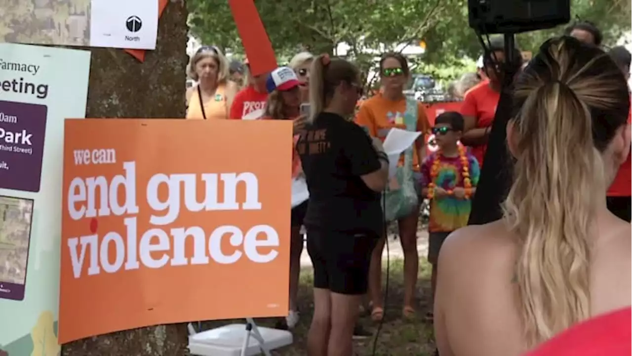 Gun control advocates flood park with orange to draw attention to gun violence