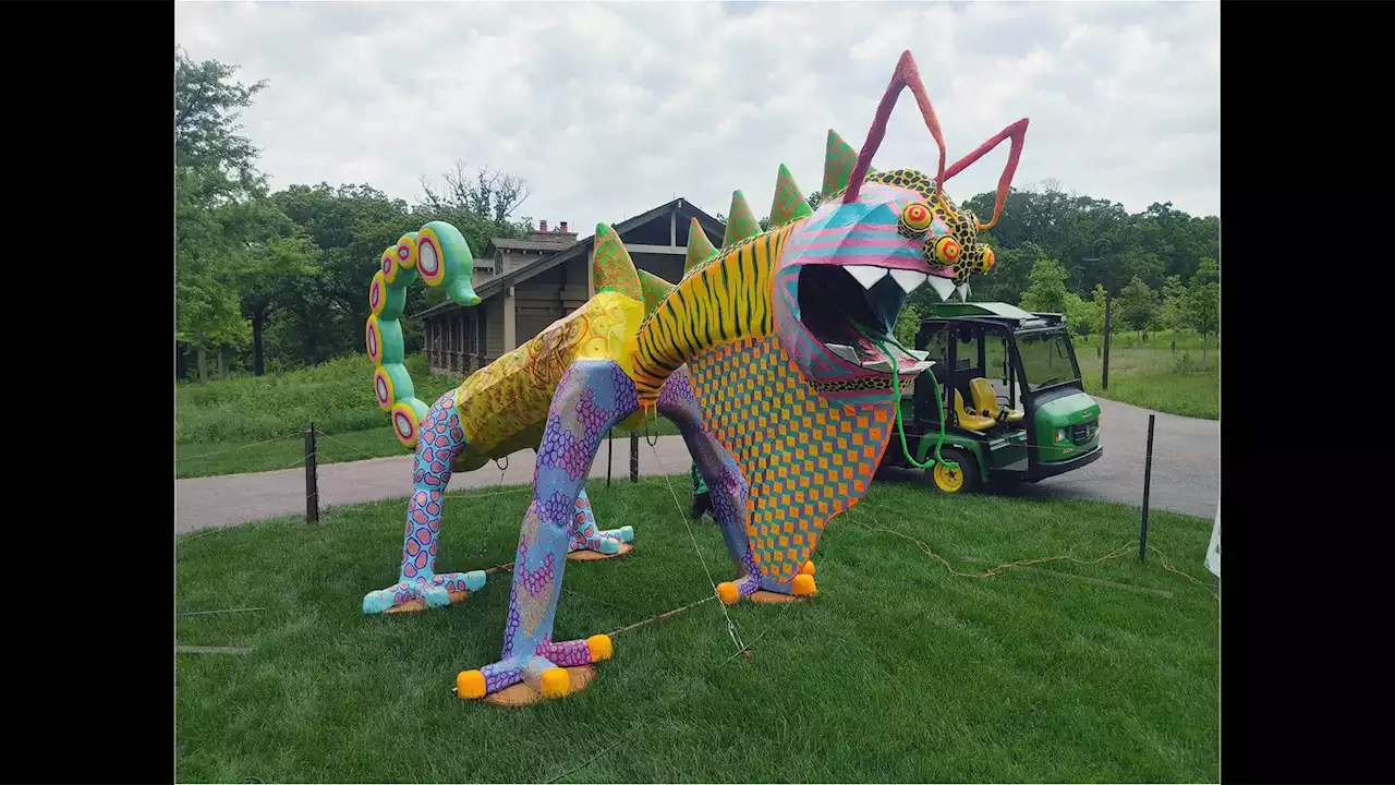 Big Dreams Come to Life in ‘Alebrijes: Creatures of a Dream World’ at Cantigny Park