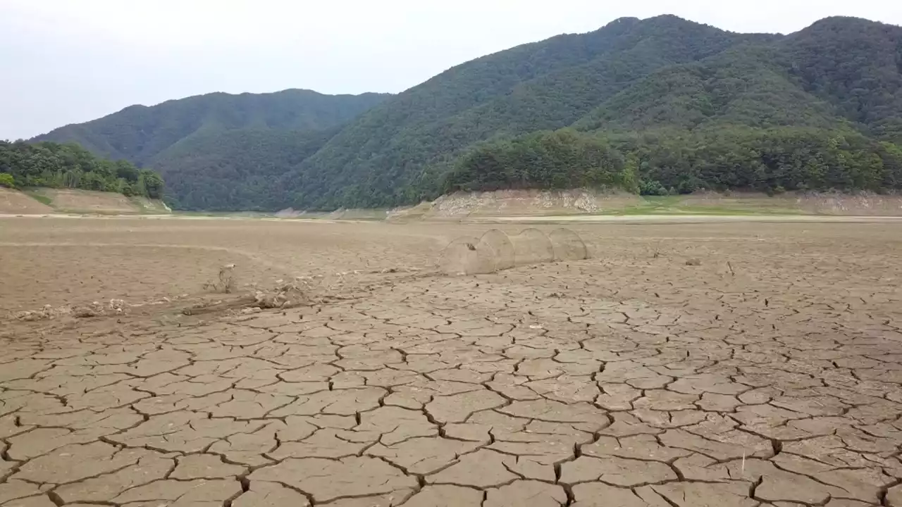 한가뭄에 실개천 된 소양강...어민 조업 포기