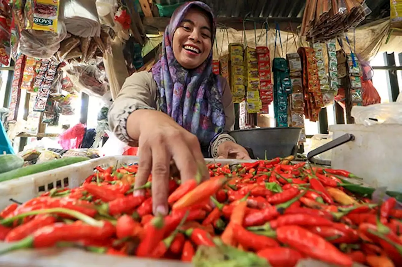 Harga Lombok Hampir Setara Harga Daging