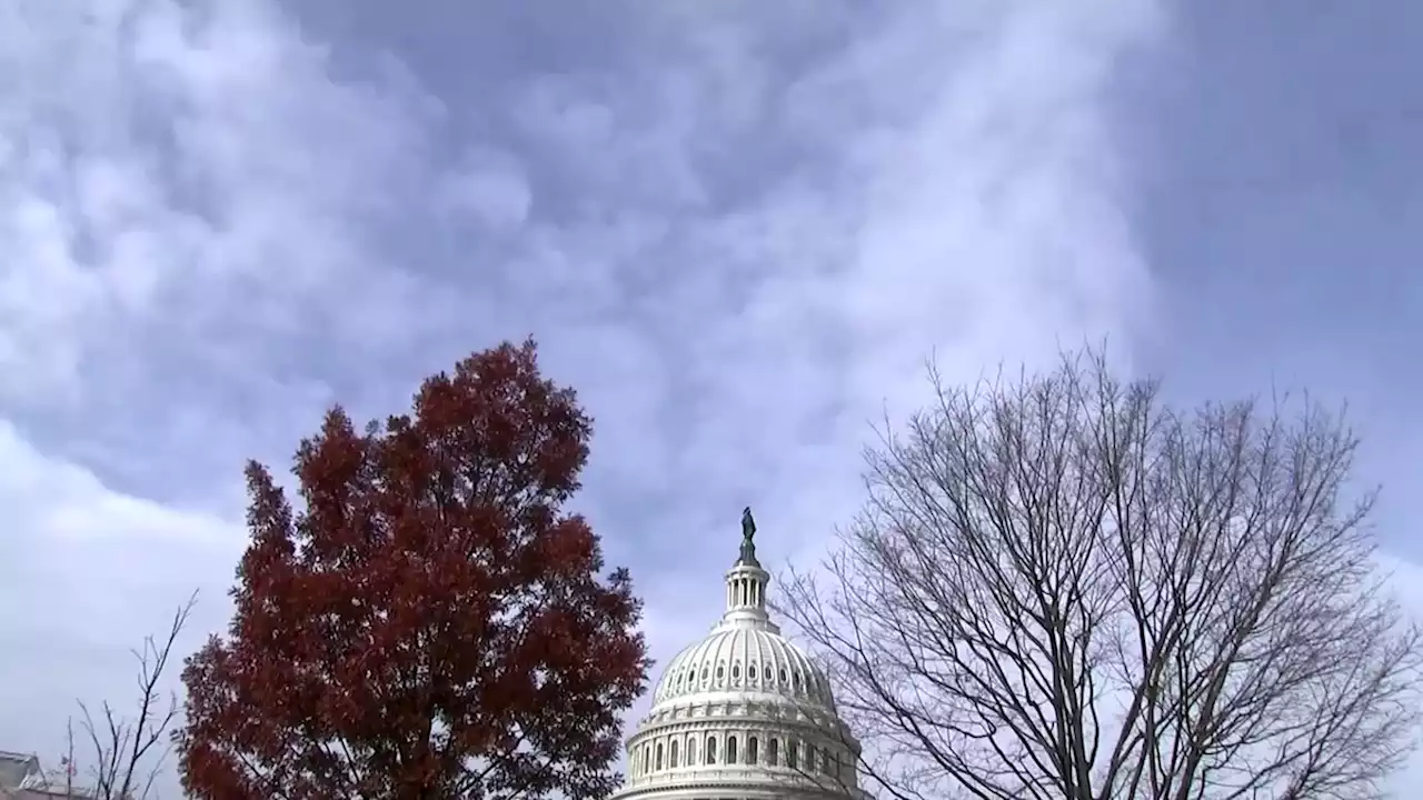 Gun safety talks in U.S. Senate wrestle with 'red flag' laws, school safety