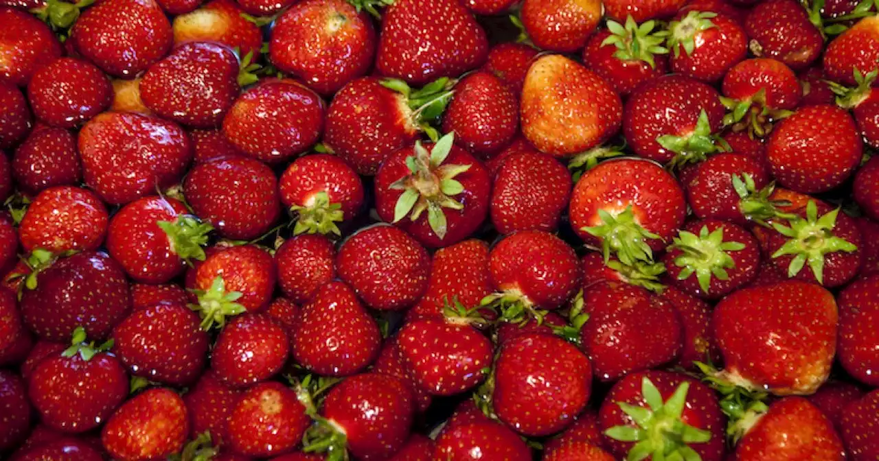 San Diego County family sues over alleged Hepatitis A infections linked to strawberries