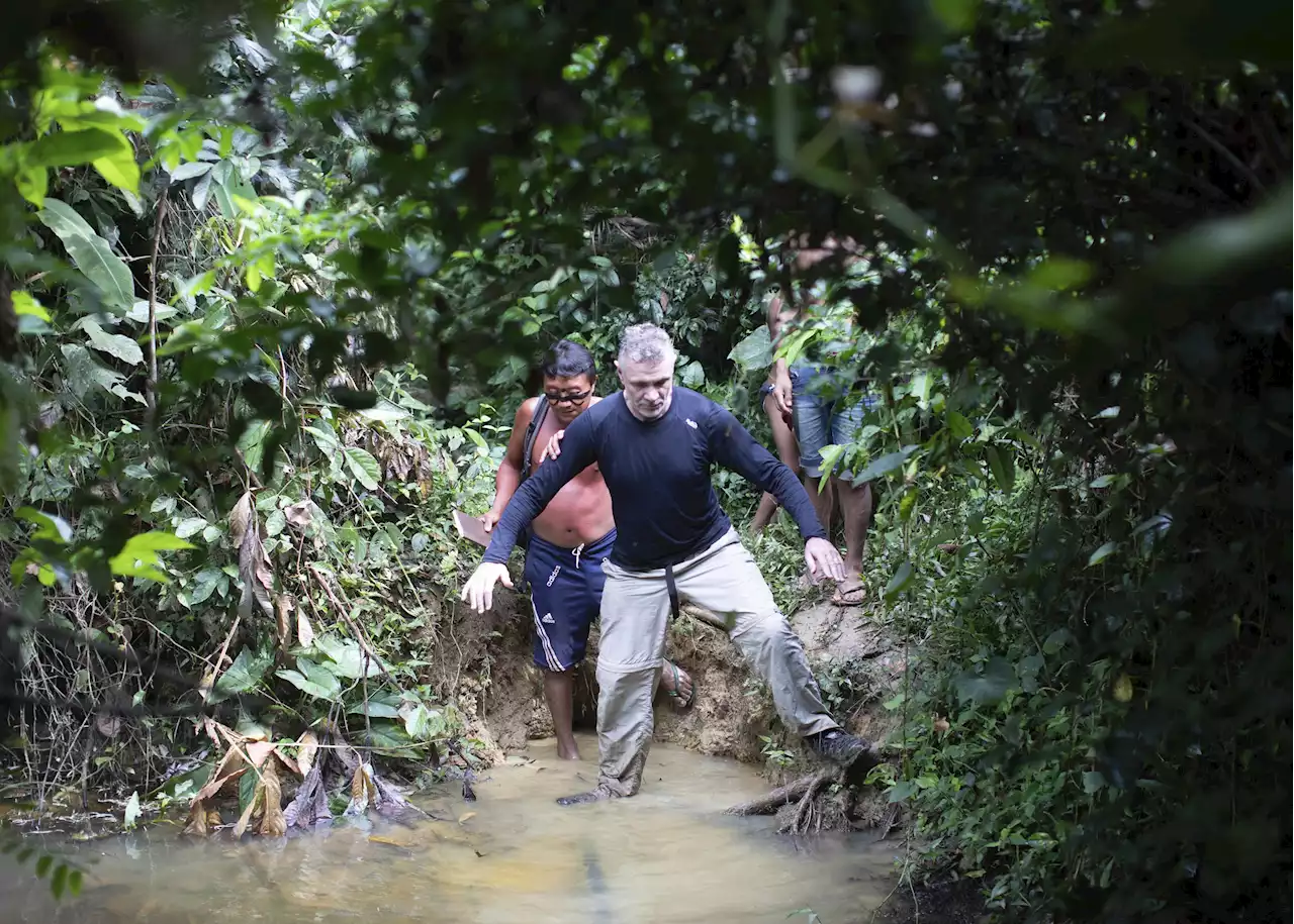 British writer, Brazil Indigenous official missing in Amazon