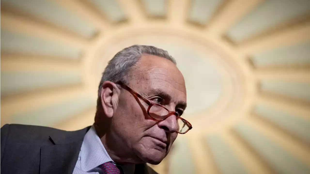 Schumer tells Democrats to 'keep talking' to GOP about gun legislation