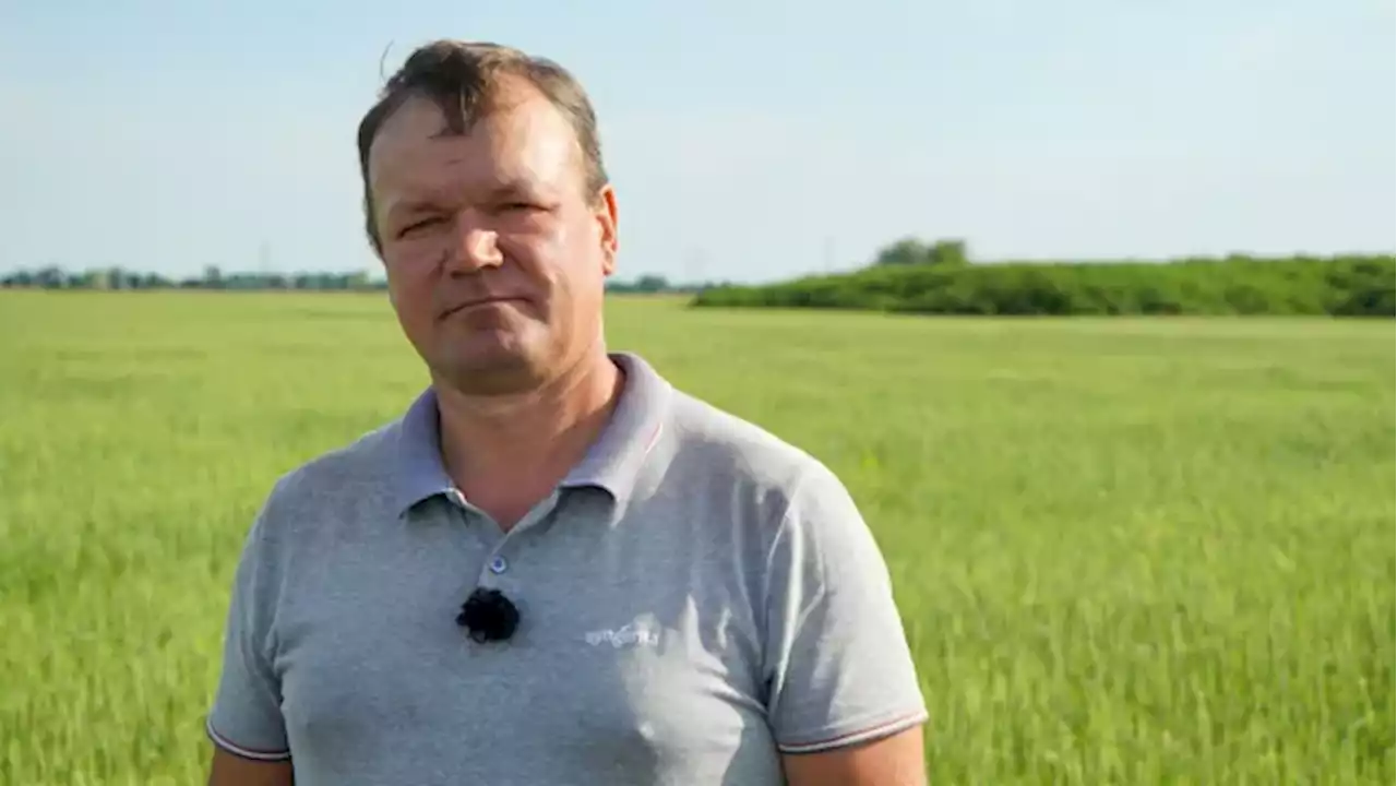 Amid Russian naval blockades, Ukrainian farmers fear their grain has nowhere to go | CBC News