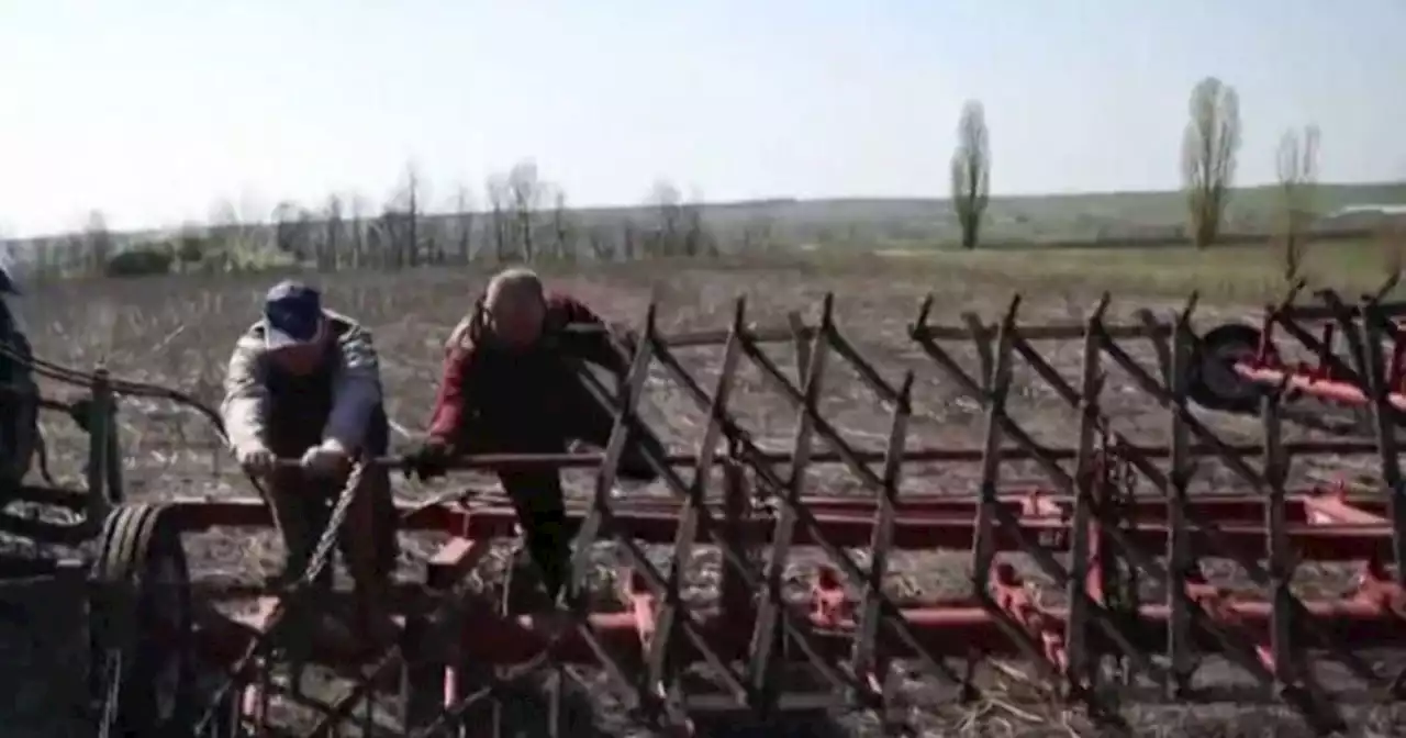 Inside the Russian blockade of Ukraine threatening global food supplies