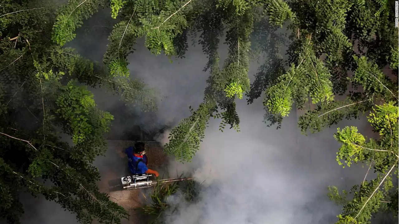 Singapore's dengue 'emergency' is a climate change omen for the world